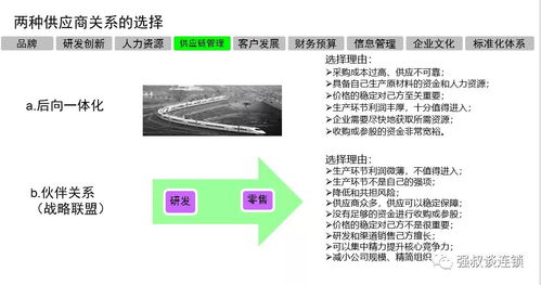 連鎖企業(yè)戰(zhàn)略實施規(guī)劃報告